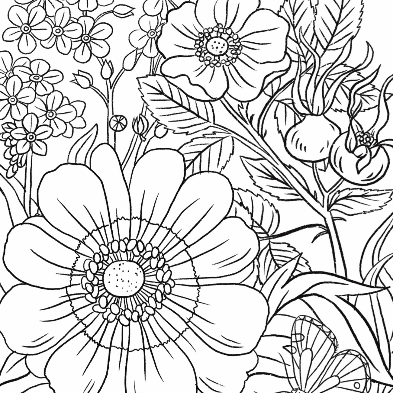 Coloralongs â blog â amber loves coloring