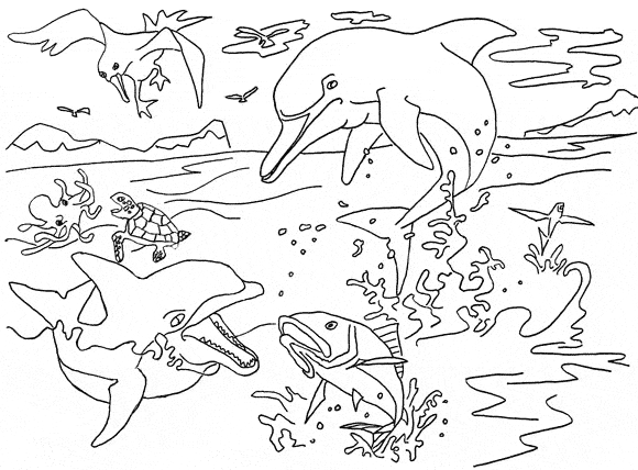 River dolphin coloring page