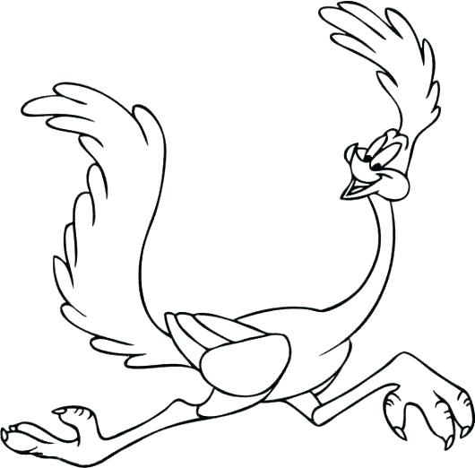 Road runner colouring image
