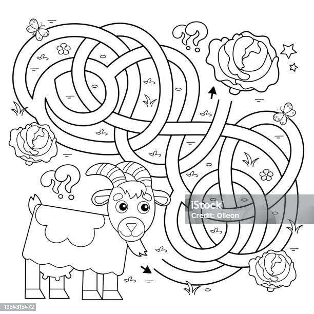Maze or labyrinth game puzzle tangled road coloring page outline of cartoon goat with cabbage farm animals coloring book for kids stock illustration