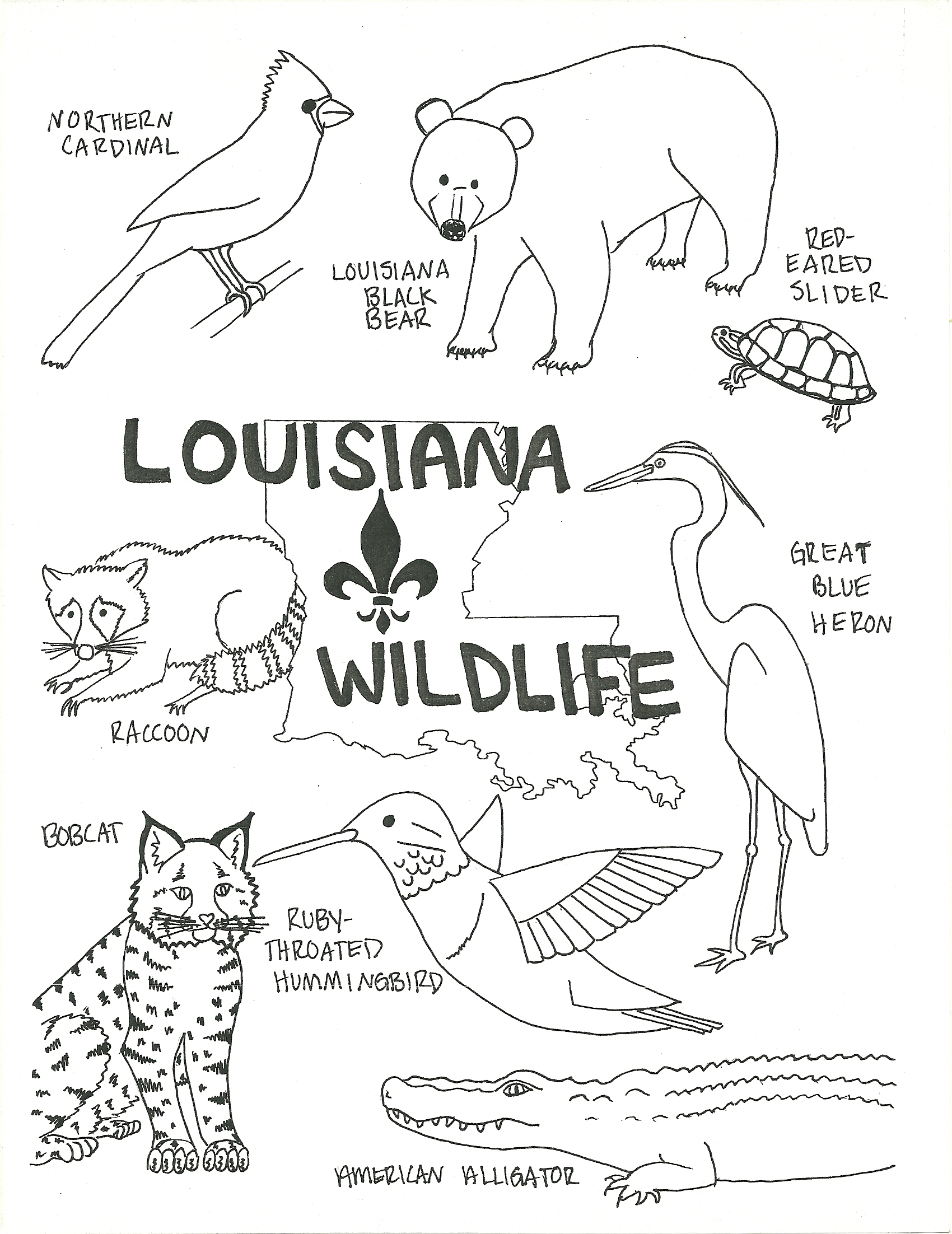 Louisiana wildlife coloring page beat up road sign