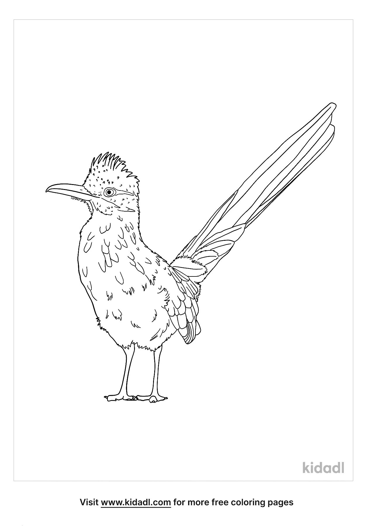 Free road runner realistic coloring page coloring page printables