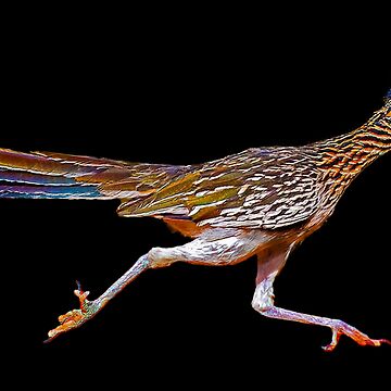 Roadrunner running poster for sale by abowlofsoda