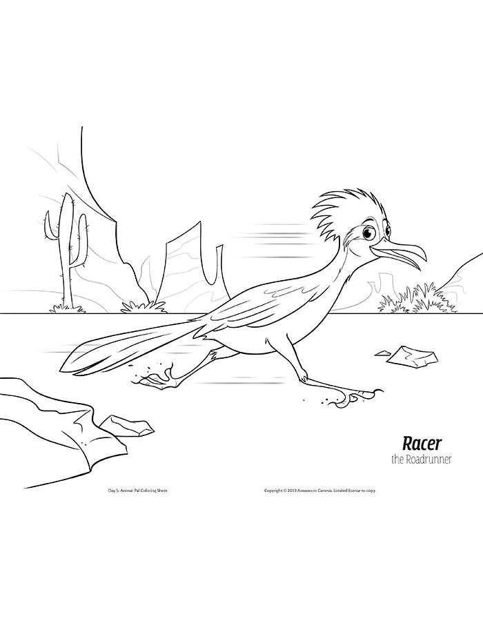 Racer the roadrunner kids coloring activity kids answers