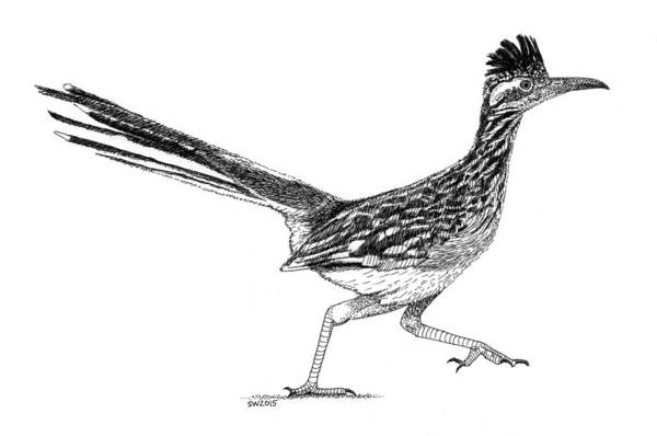 Roadrunner art print by scott woyak