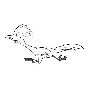 Roadrunner png transparent images free download vector files