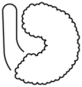 Roasted sweet potato emoji coloring page free printable coloring pages