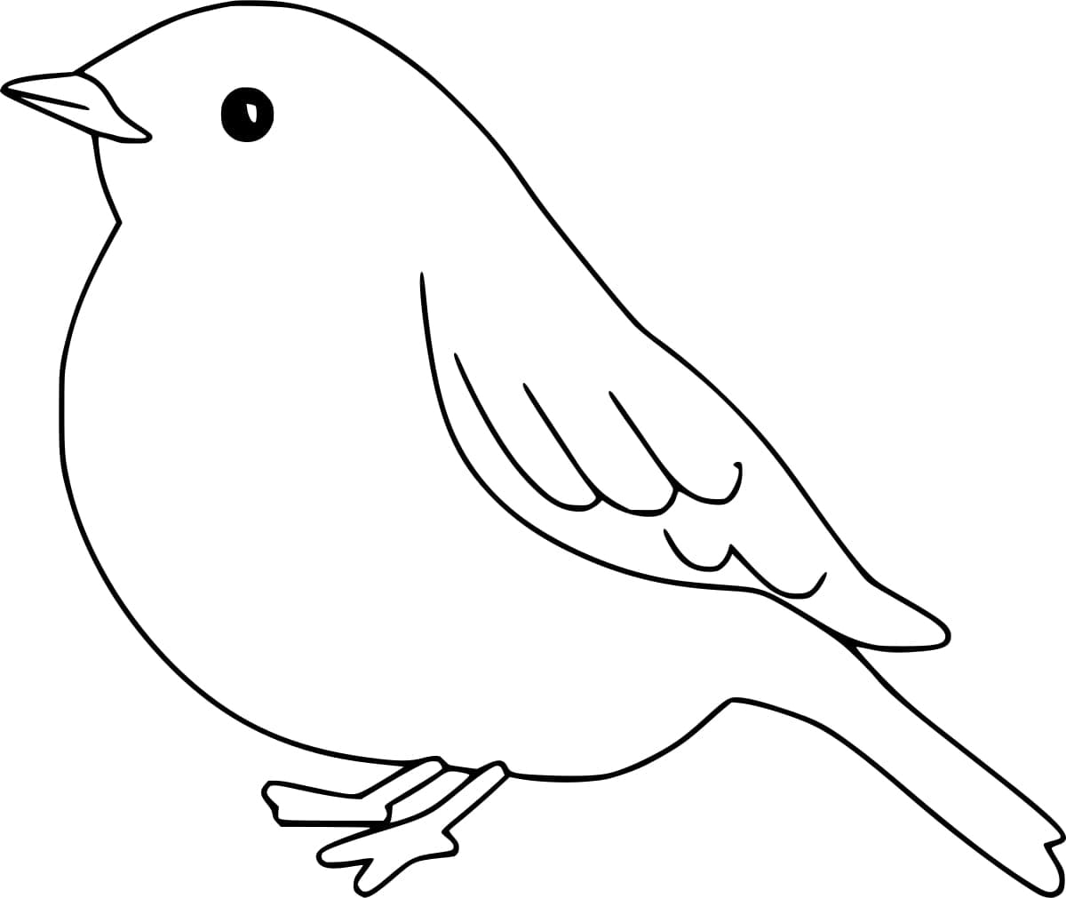 Adorable robin bird coloring page