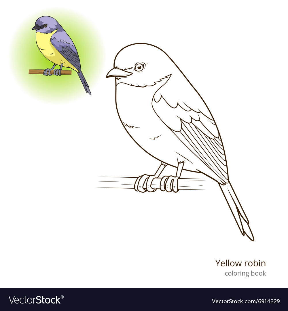 Yellow robin bird coloring book royalty free vector image
