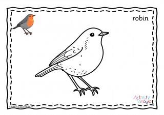 Robin louring pages