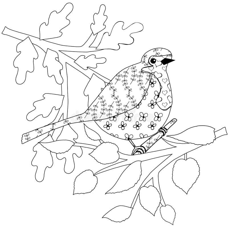 Doodle robin bird leaves of tree antistress coloring page monochrome design element stock vector