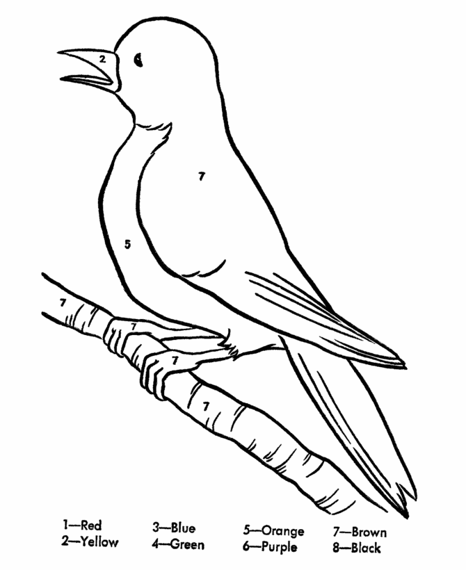 Color by number coloring page learn to color by following the color numbers robin on a branch coloring page activity sheet