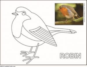 Printable bird coloring pages