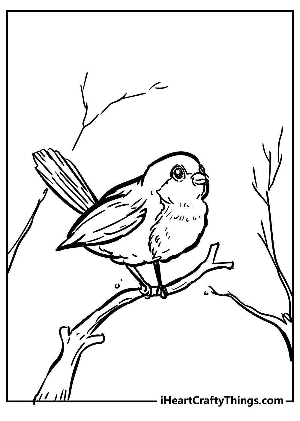 Robin coloring pages free printables