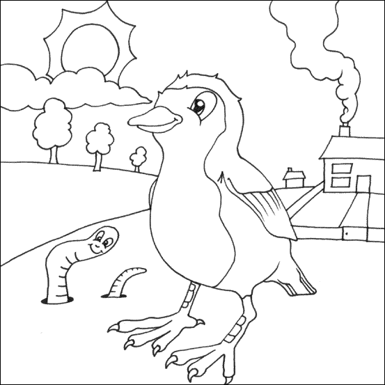 Cute robin colouring page