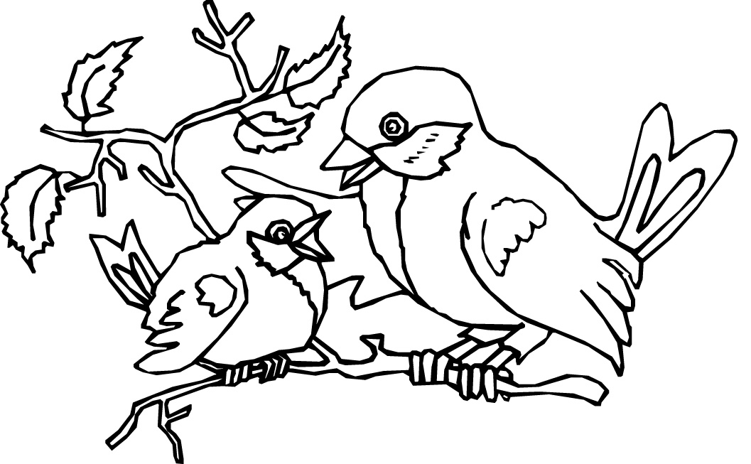 Robin coloring pages