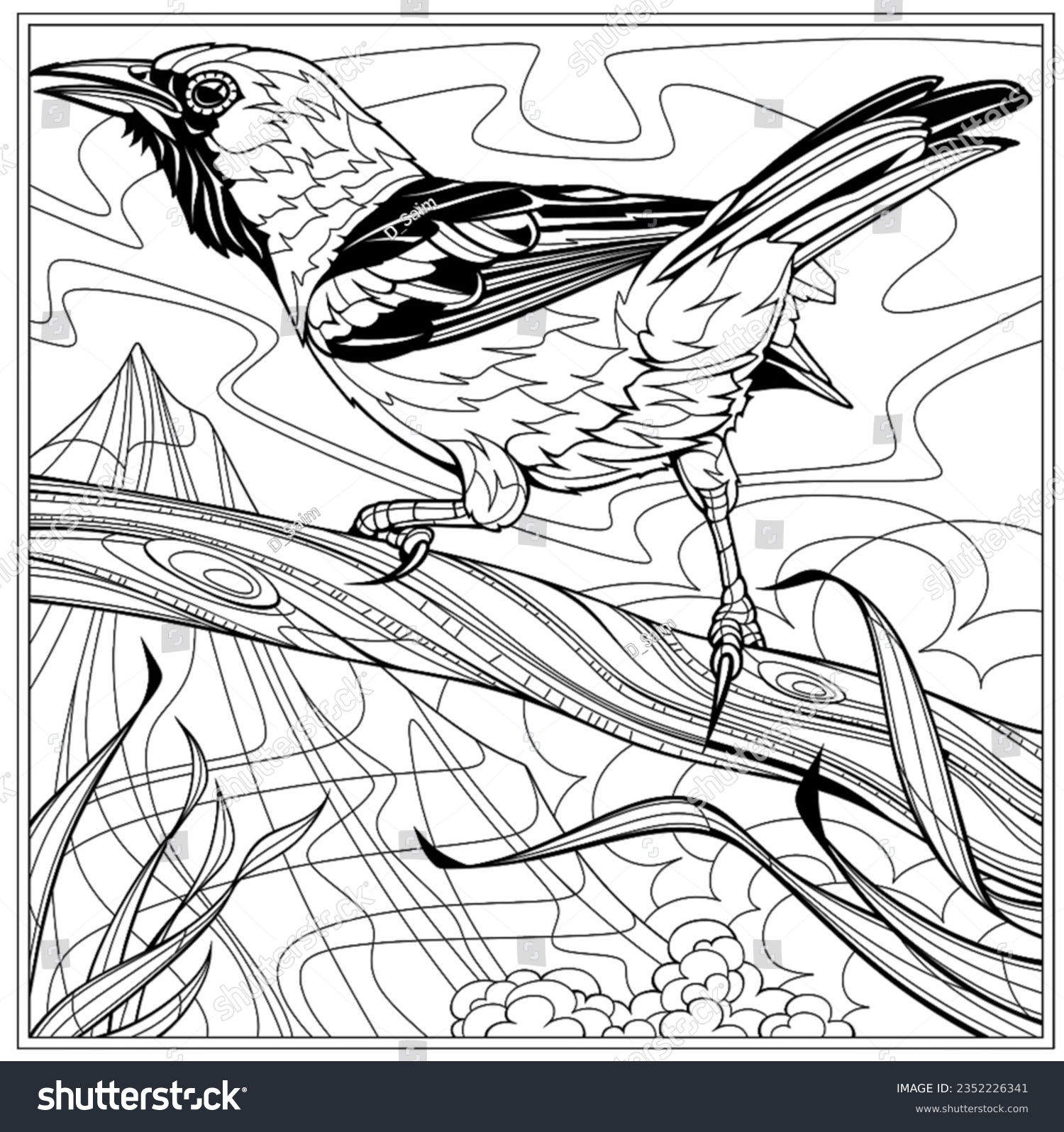 Robin bird sketch images stock photos d objects vectors