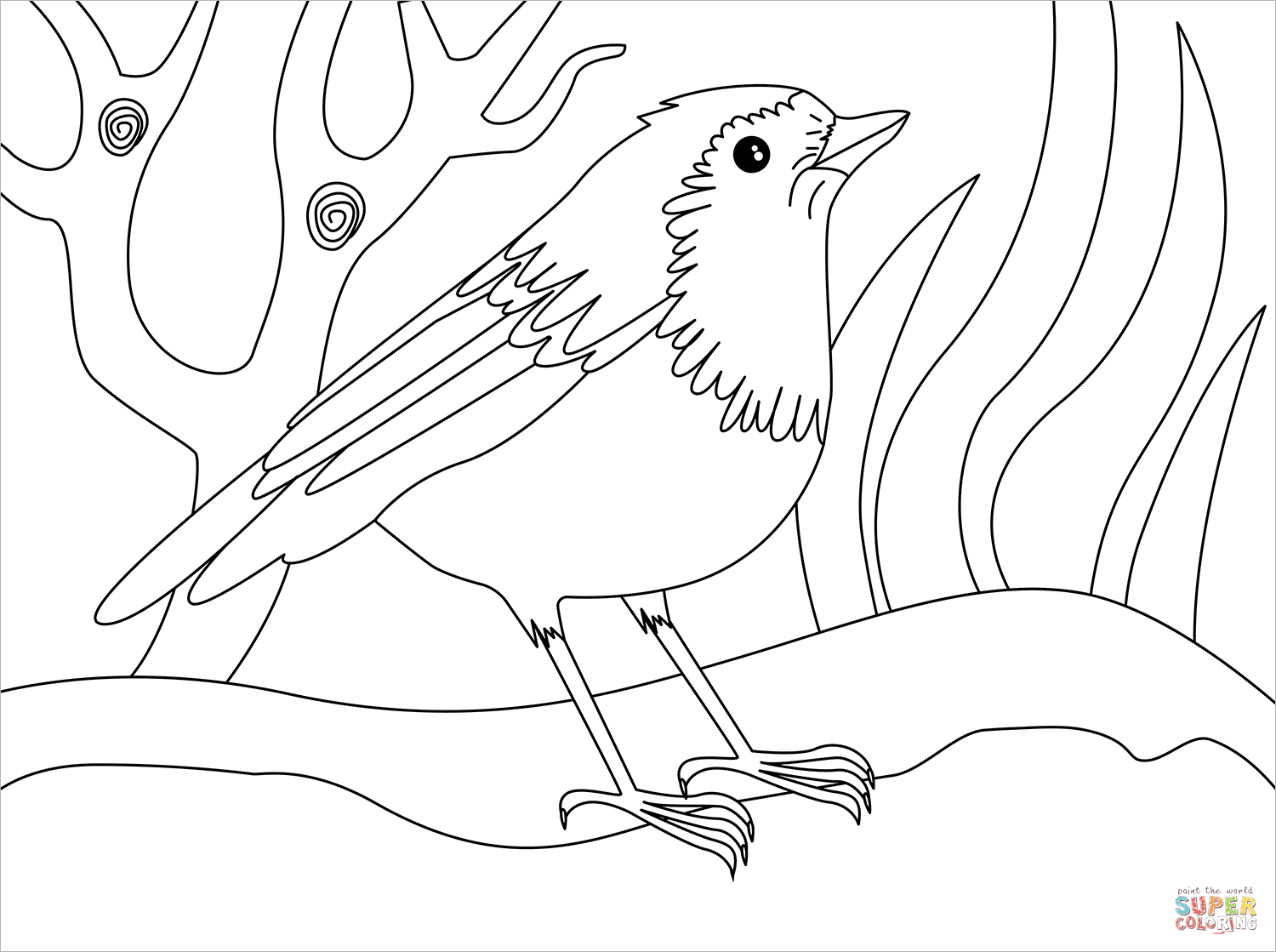 Robin coloring page free printable coloring pages