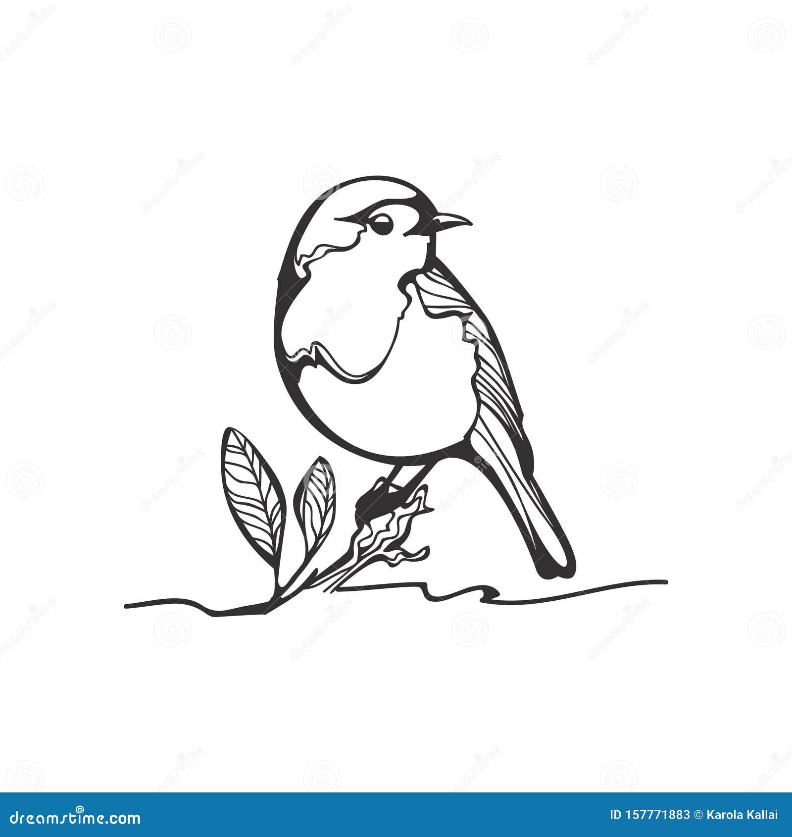 Black white robin stock illustrations â black white robin stock illustrations vectors clipart