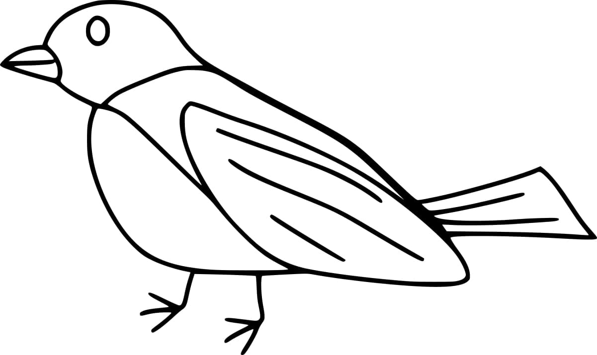 Simple robin bird coloring page