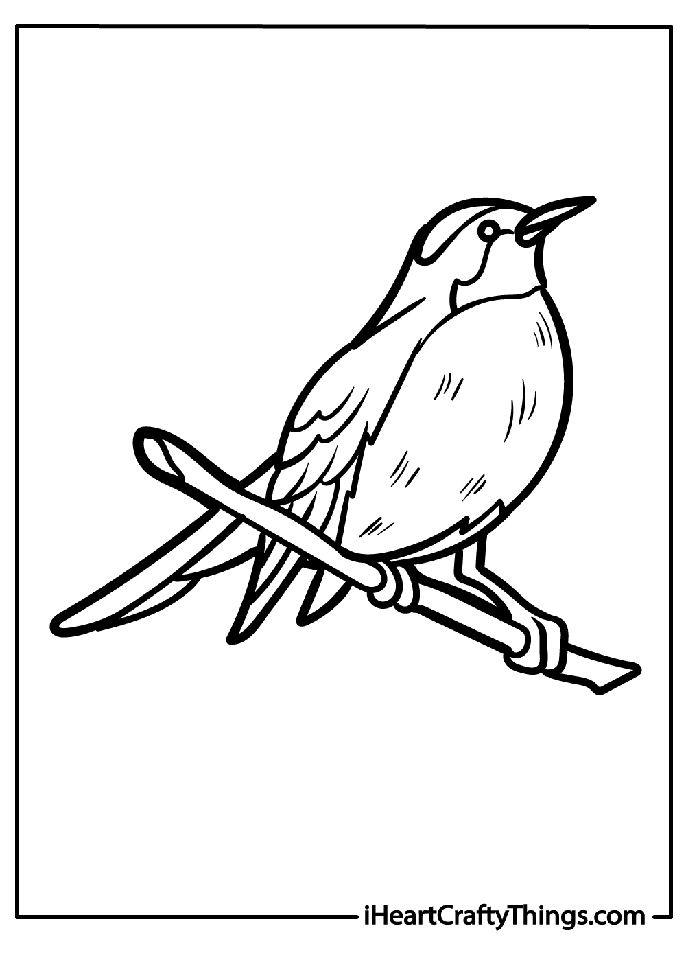 Robin coloring pages free printables