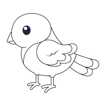 Robin coloring sheet vectors illustrations for free download