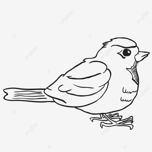 Simple black and white robin feathers element animal vector feathers element animal png and vector with transparent background for free download
