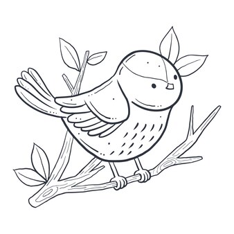 Robin coloring printable vectors illustrations for free download