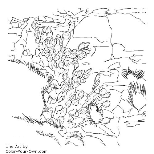 Prickly pear cactus and rocks southwestern art coloring page