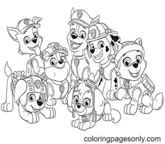 Rocky paw patrol coloring pages printable for free download