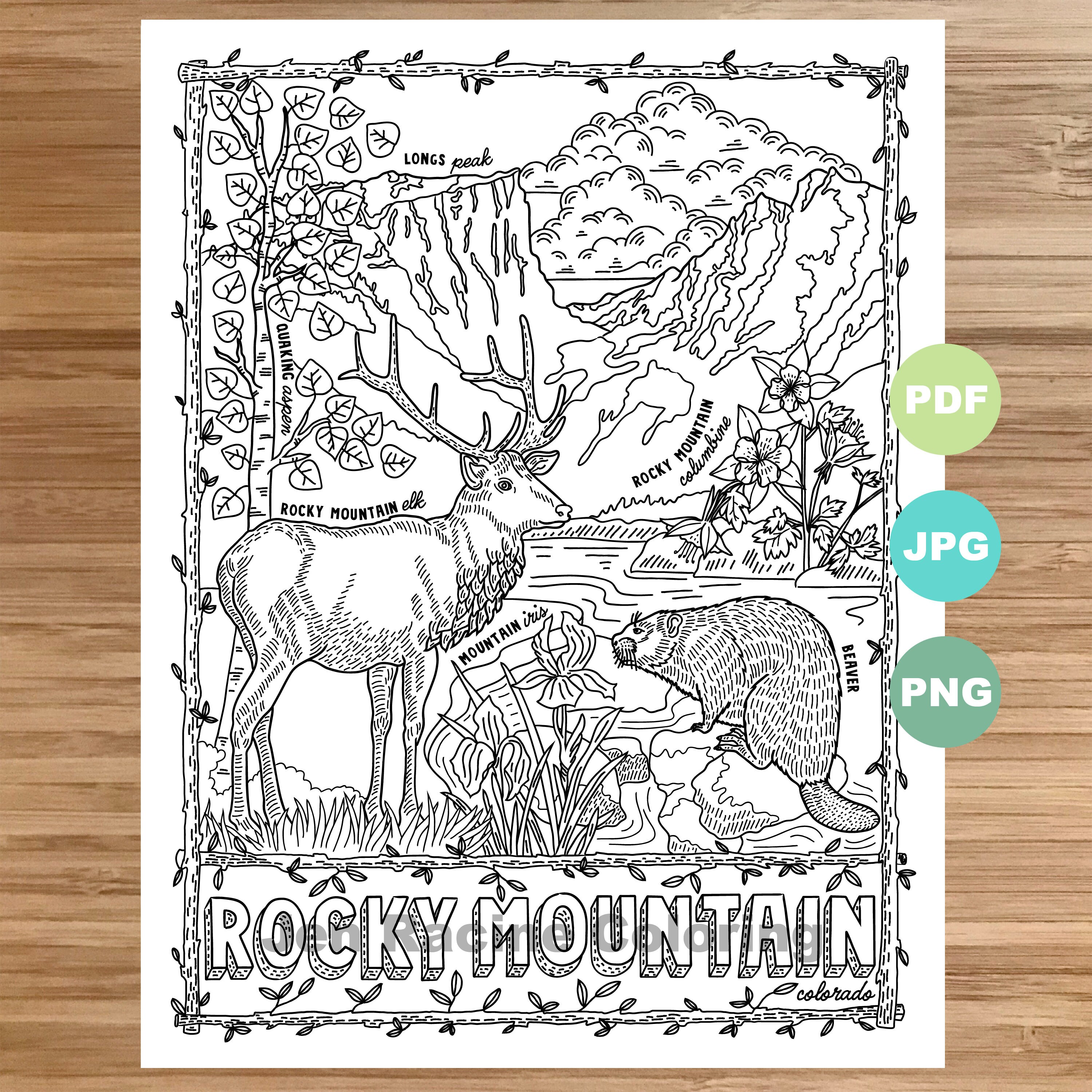 National park coloring page rocky mountain colorado national park landscape animal plant wildflower coloring page printable