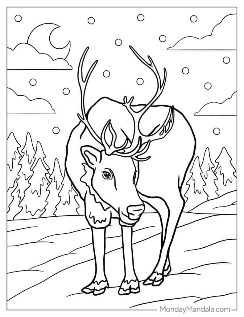 Reindeer coloring pages free pdf printables