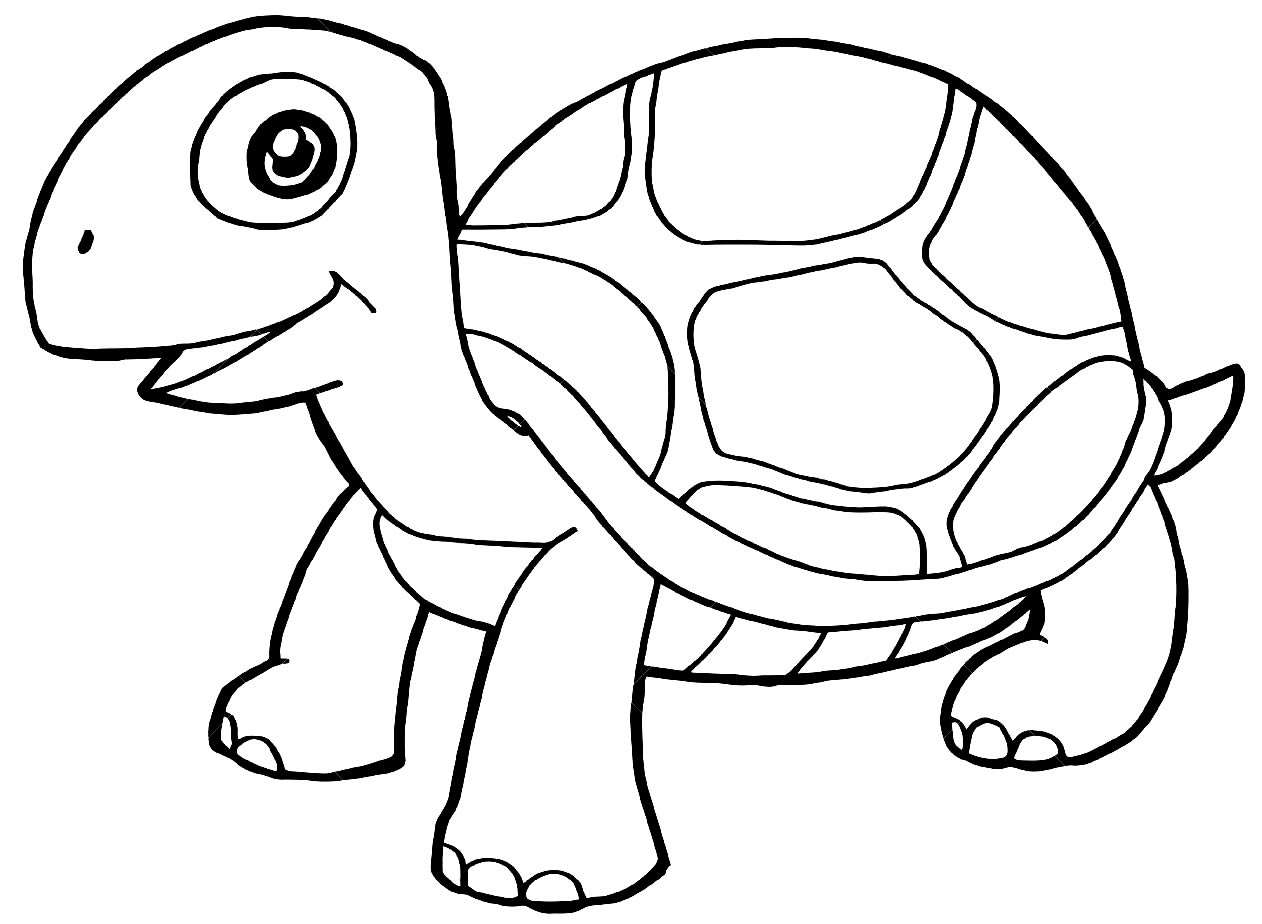 Tortuga