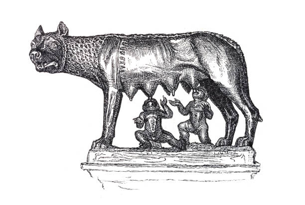 Romulus and remus stock illustrations royalty