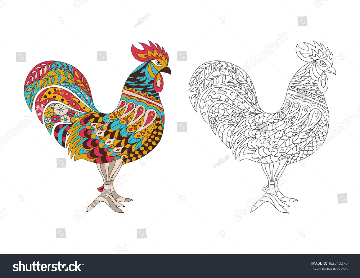 Printable coloring book page adults rooster stock vector royalty free