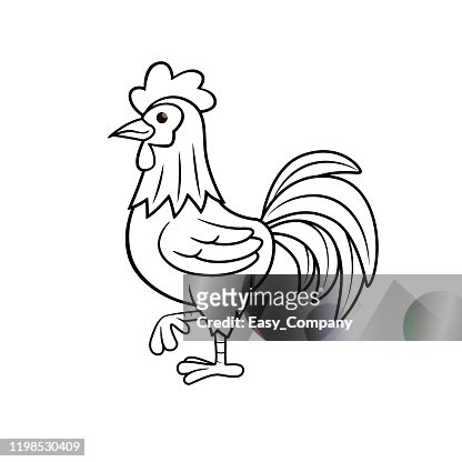 Vector illustration of rooster isolated on white background for kids coloring book high