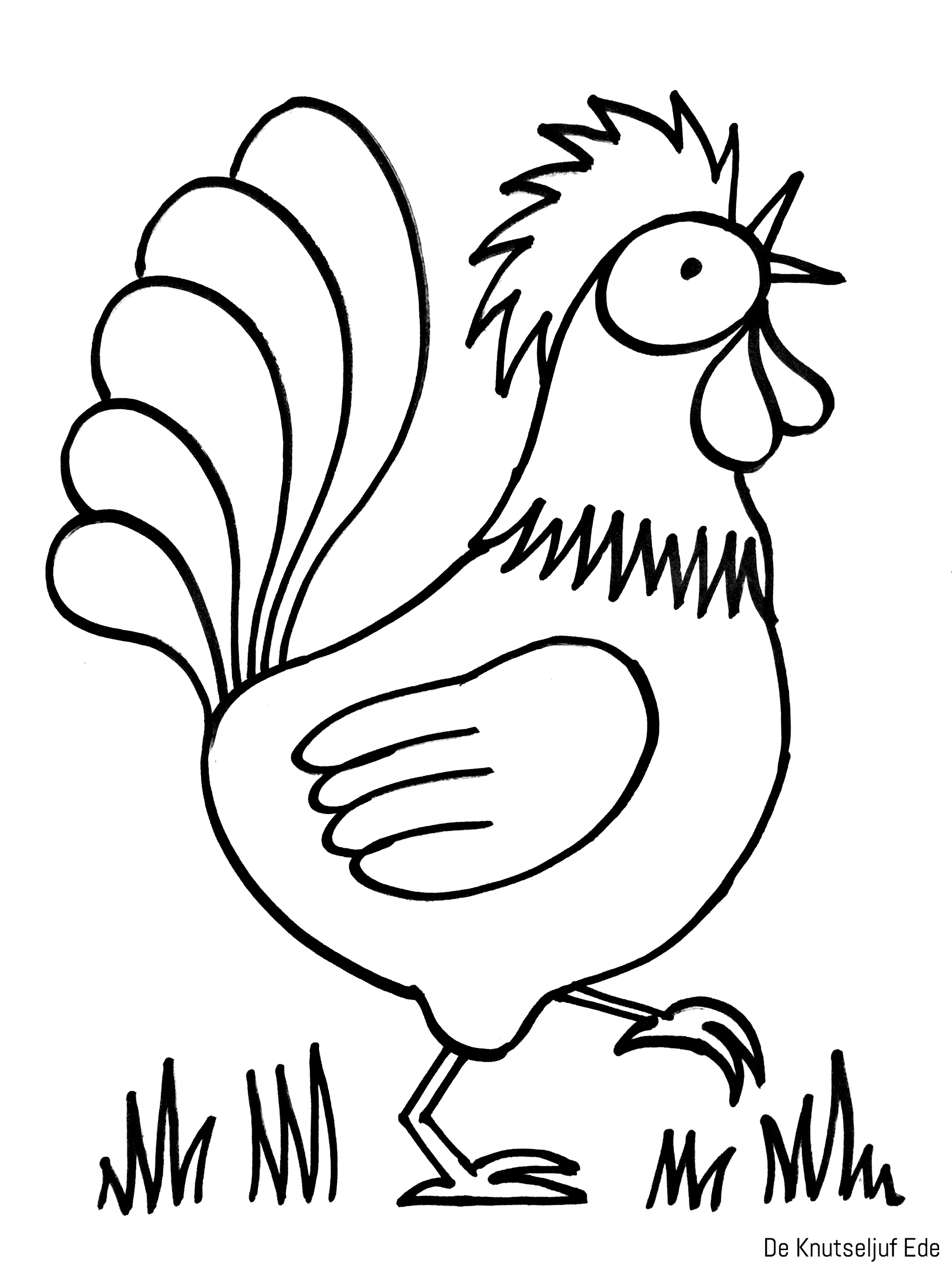 Chickens coloring pages