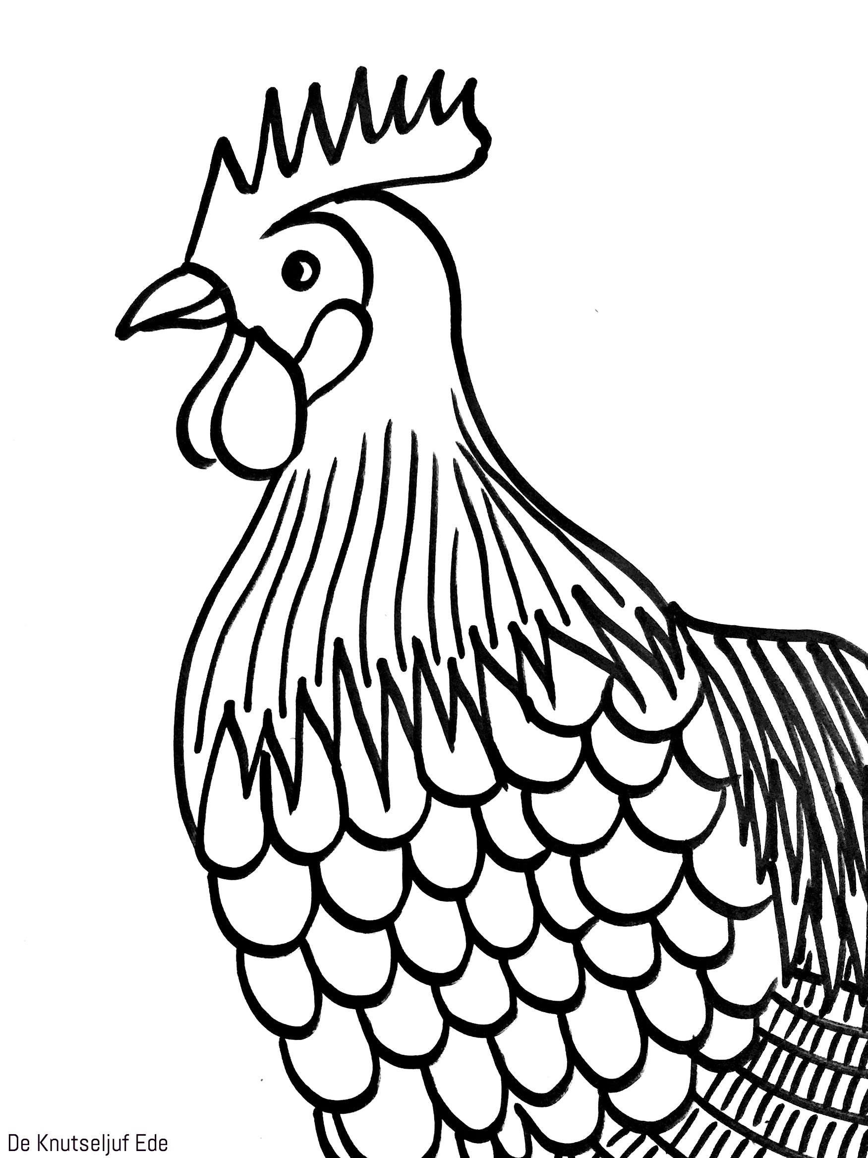 Chickens coloring pages