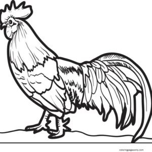 Chicken coloring pages printable for free download