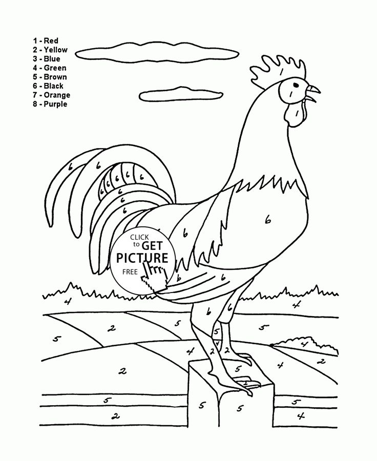 Pin on color by number