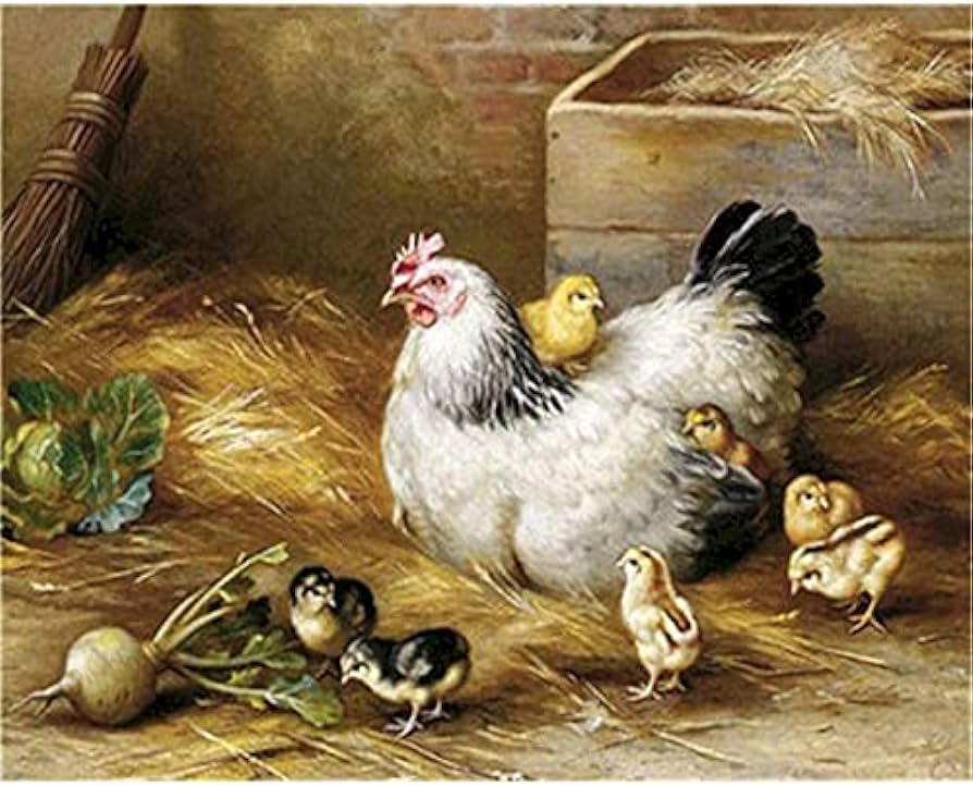 Paint by number painting by numbers cock adult drawing on canvas picture animal kit wall art handpainted diy home decoration gift xcm toys games