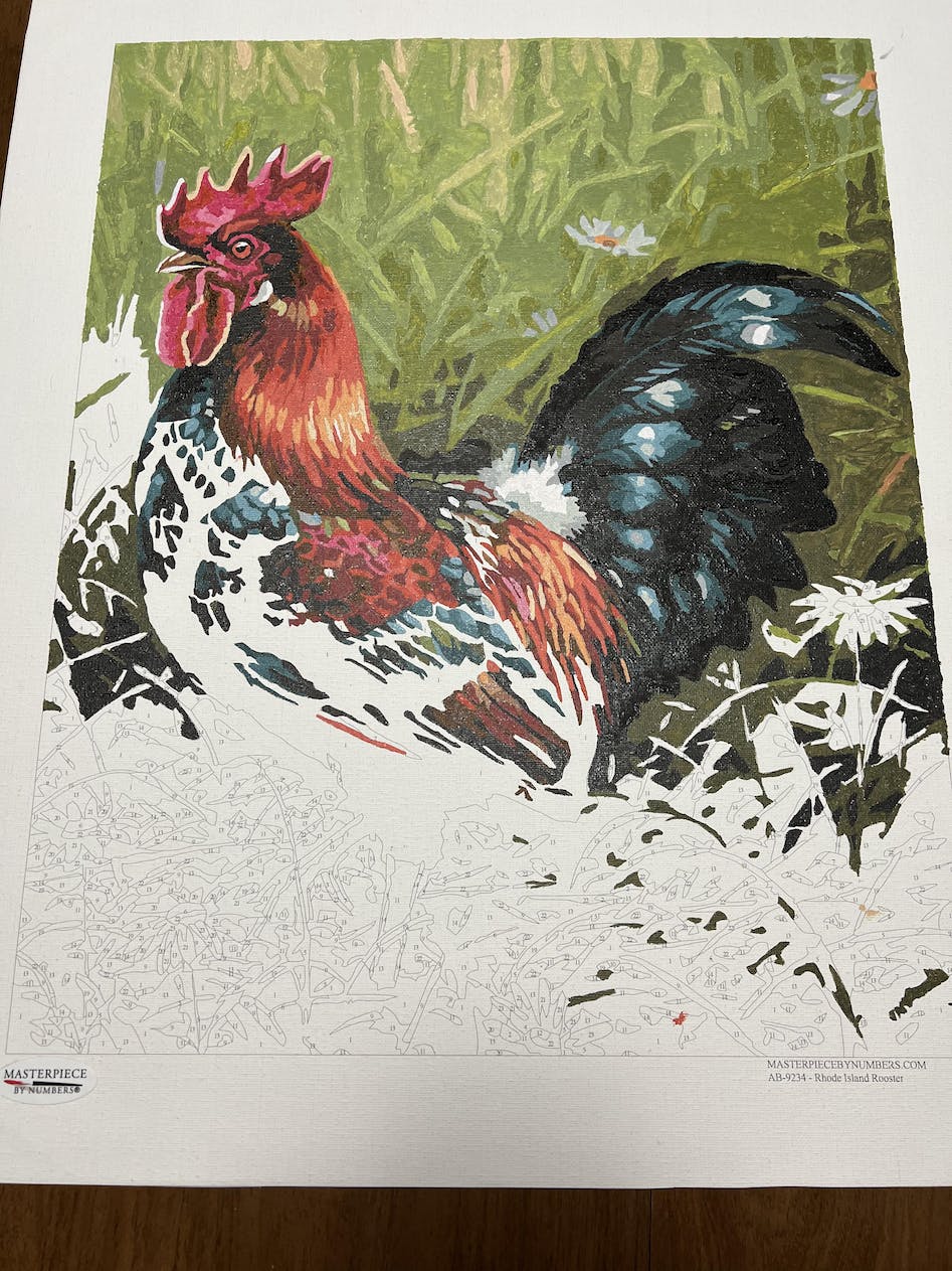Rhode island red rooster â masterpiece by numbers