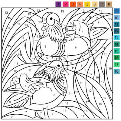 Nicoles free coloring pages january poppy coloring page free coloring pages coloring pages