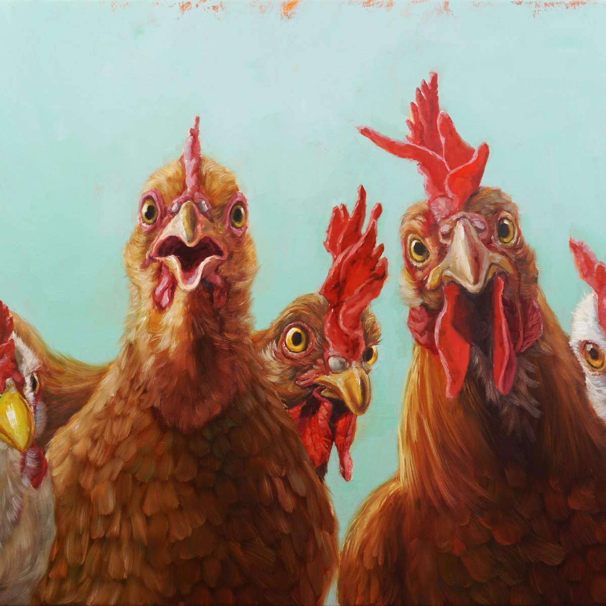 Chickens and roosters wall art paintings drawings photograph art prints