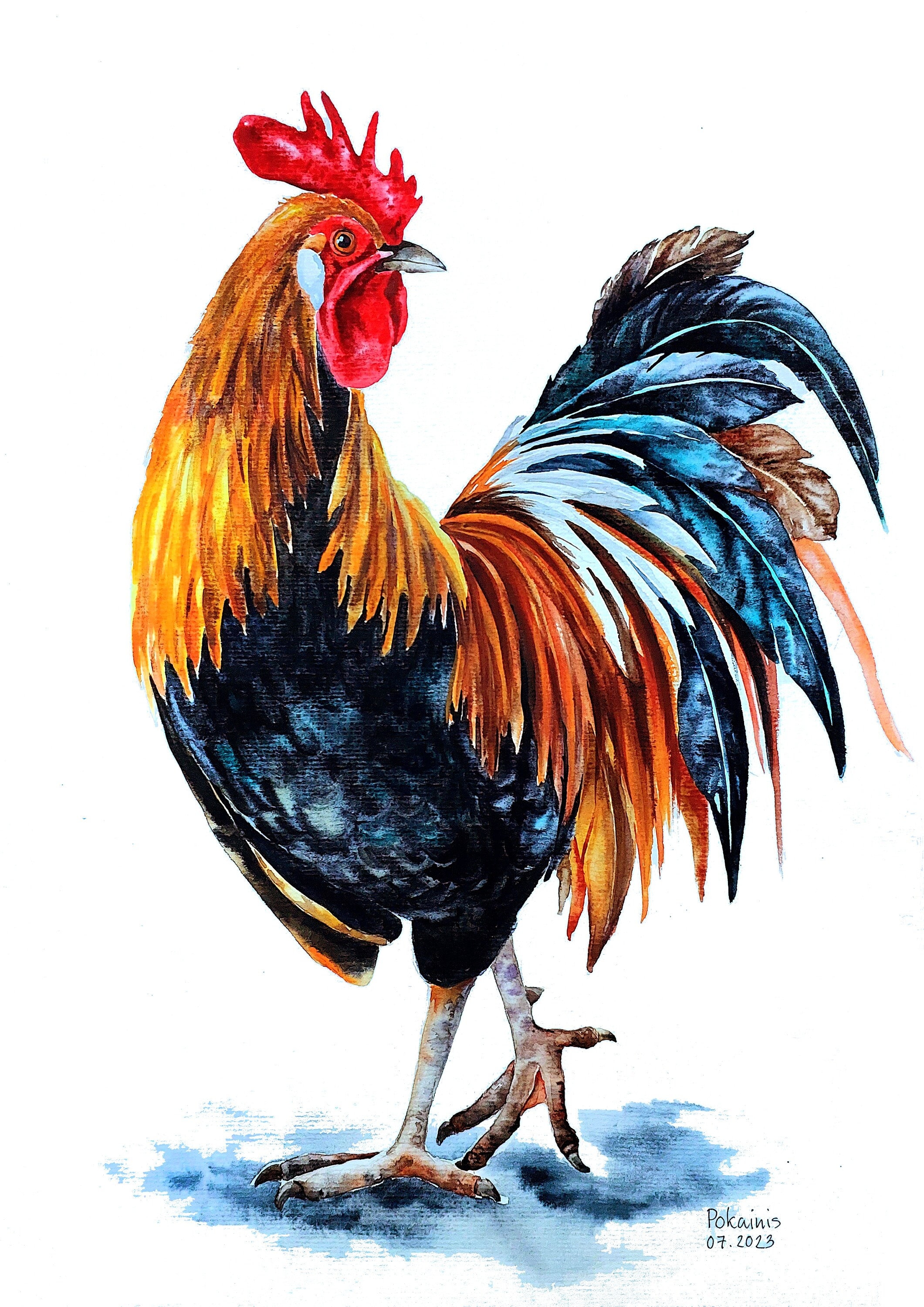 Original watercolor painting rooster painting bird watercolor farmhouse rooster art farm bird wall art chicken artwork bird lover gift