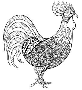 Free coloring pages â page coloring pages free coloring pages chicken coloring pages