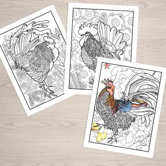 Roosters three unique printable coloring pages from evelia