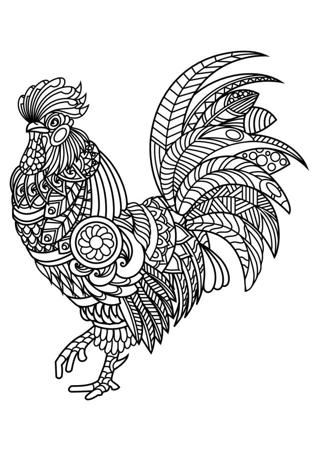 Brilliant photo of rooster coloring page
