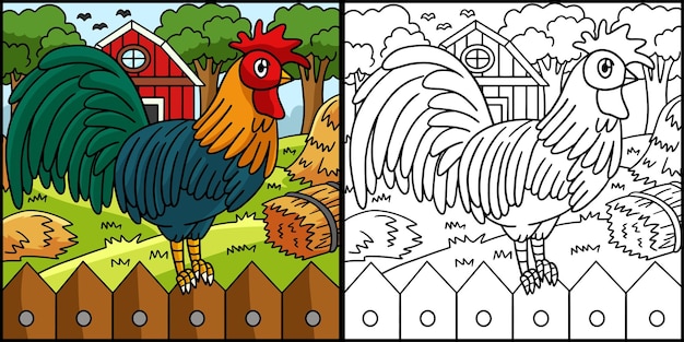 Premium vector rooster coloring page colored illustration