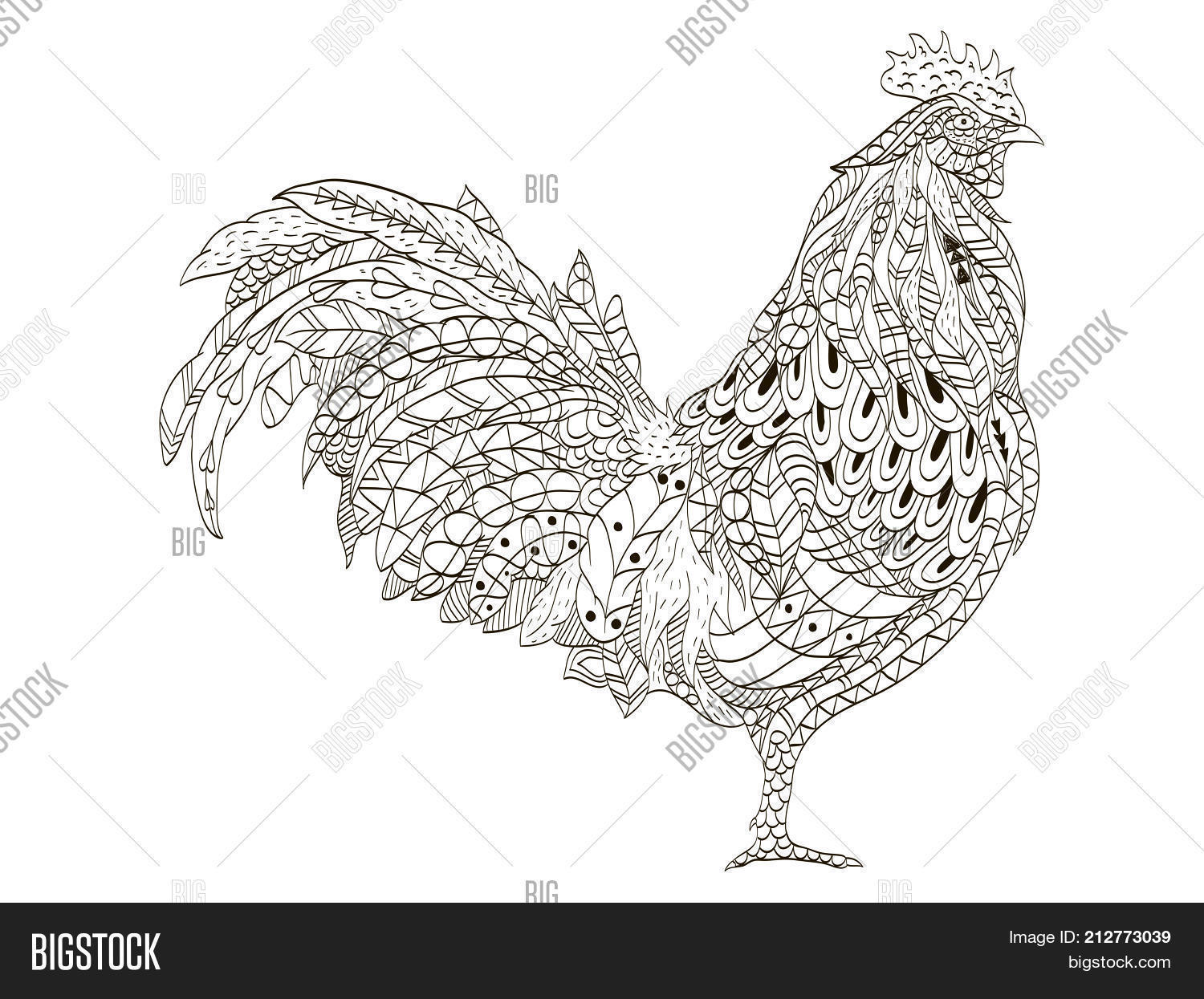 Cock coloring book image photo free trial bigstock